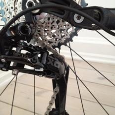 Radon Skeen Carbon