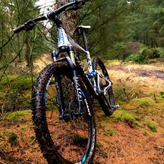 Giant Anthem x2 2012