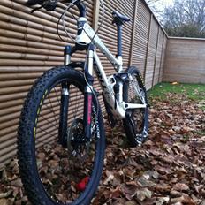 Trek EX 7