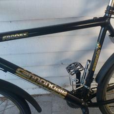 Cannondale f900sx