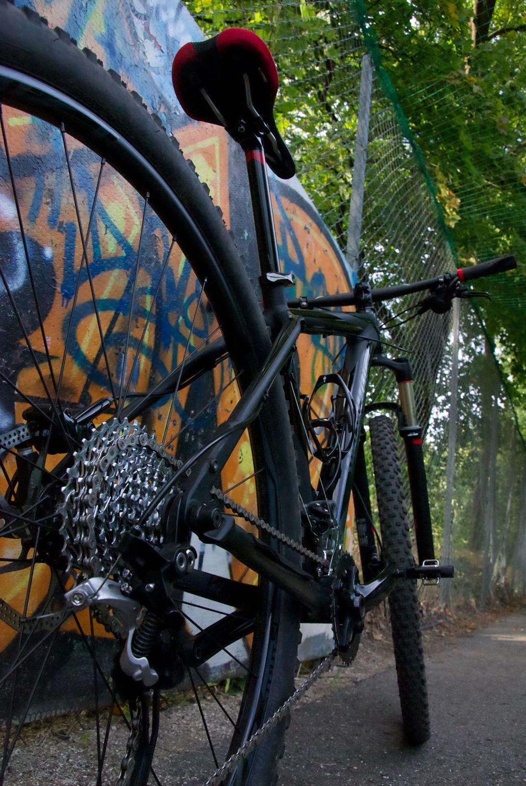 Specialized Carve Expert 29 billede 17