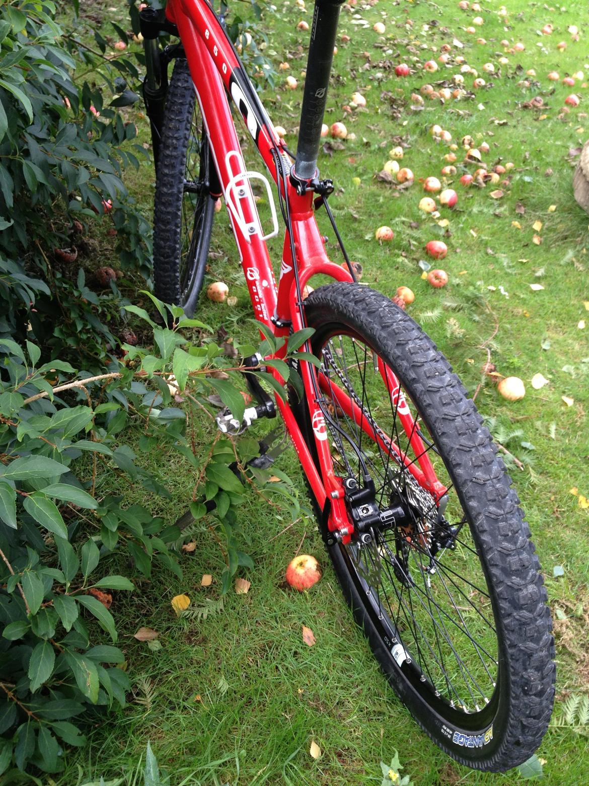 Felt Q850 billede 7
