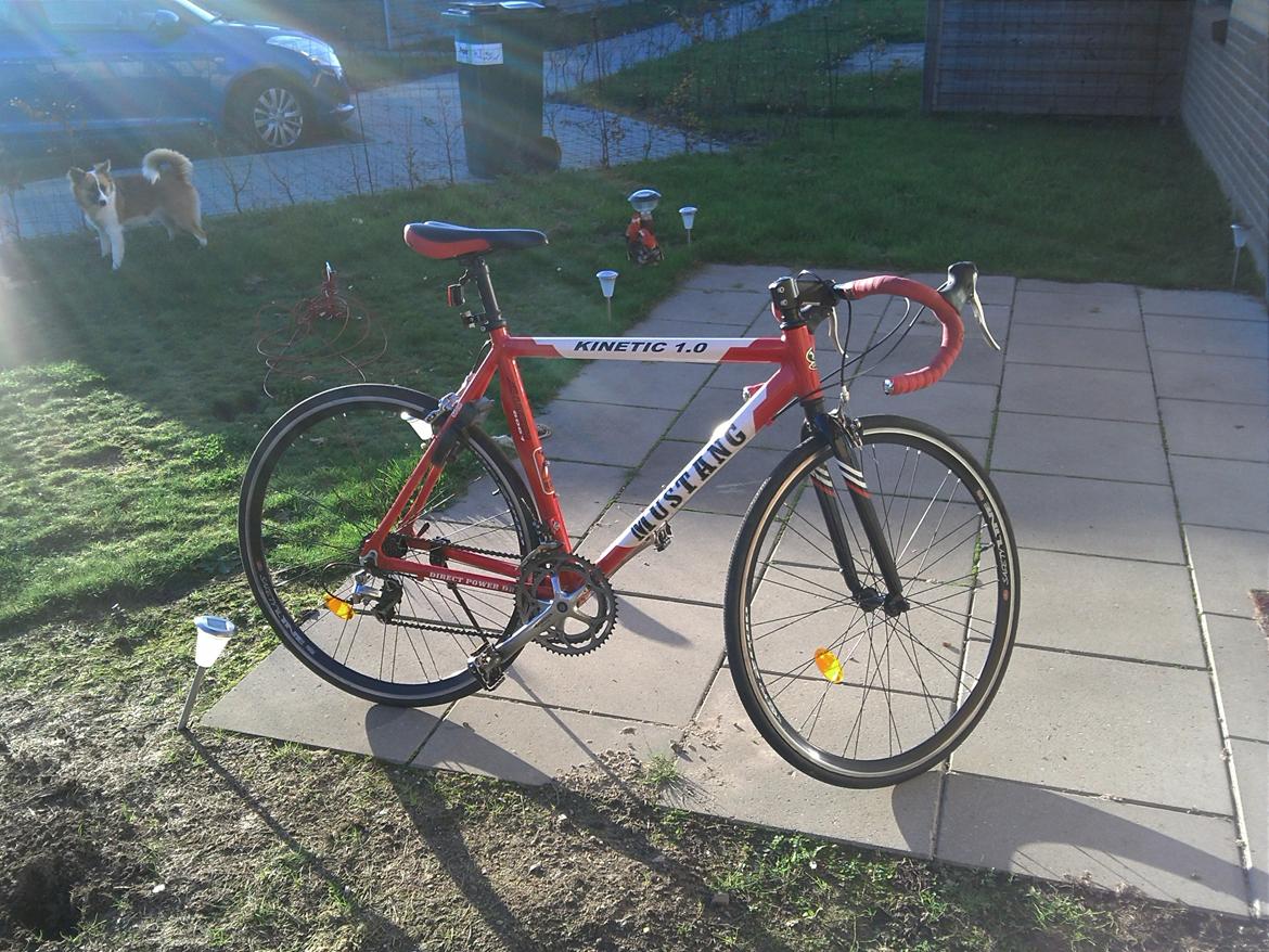 Mustang Kinetic 1.0 billede 4