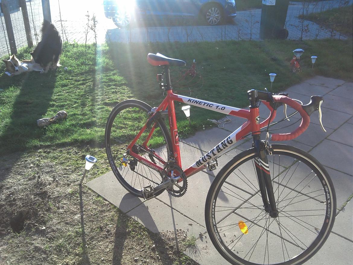 Mustang Kinetic 1.0 billede 5