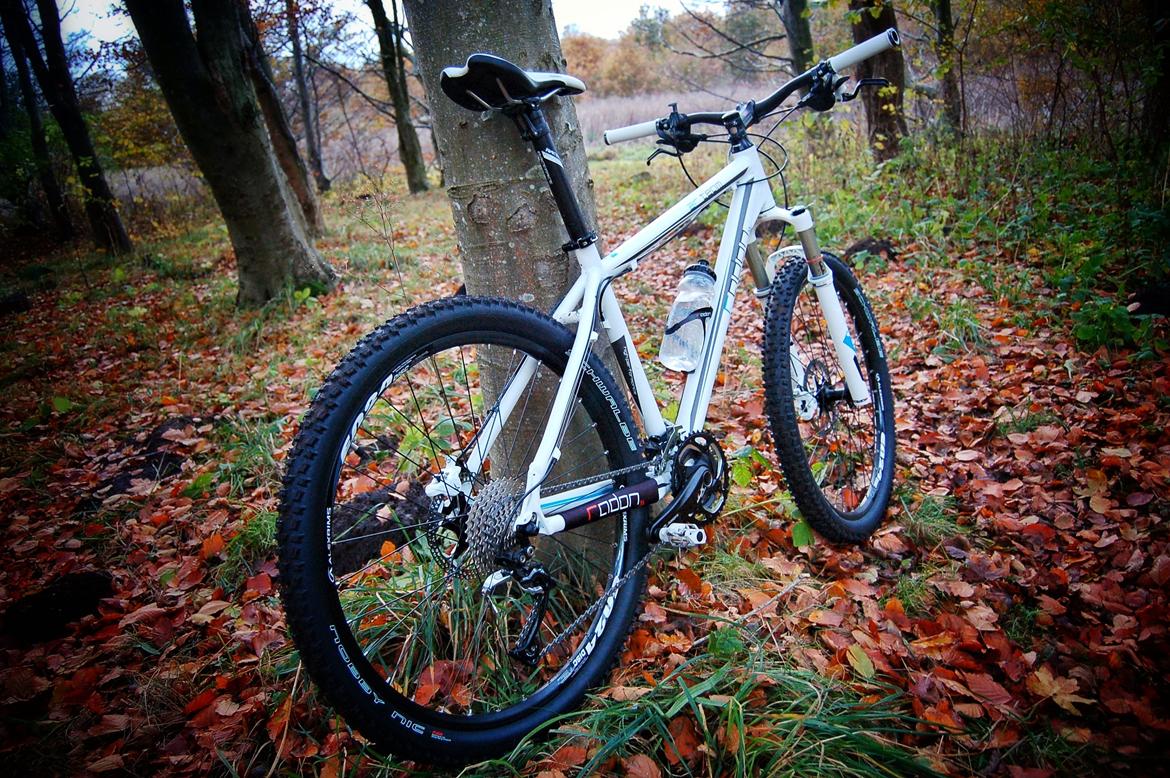 Radon ZR Team 7.0 billede 2