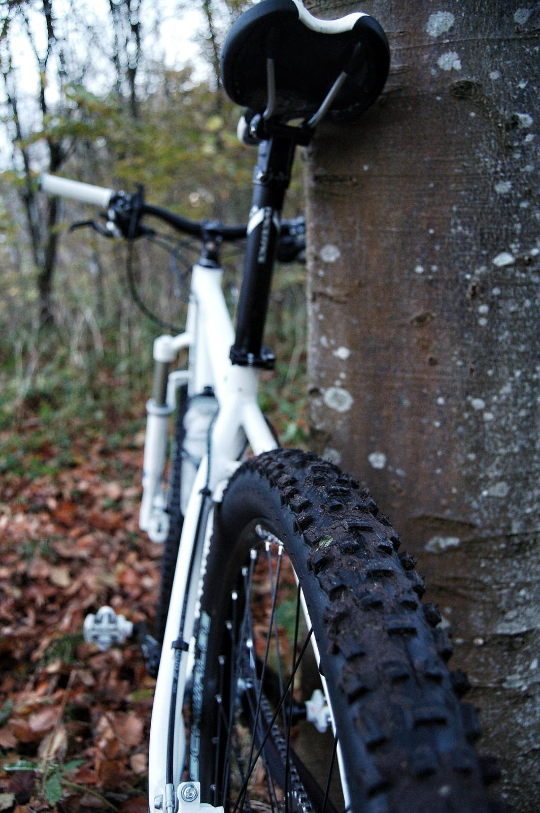 Radon ZR Team 7.0 billede 5