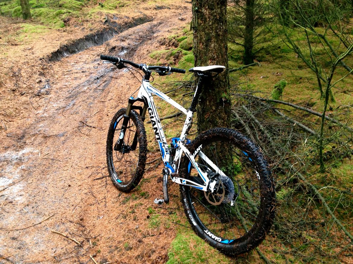 Giant Anthem x2 2012 billede 3