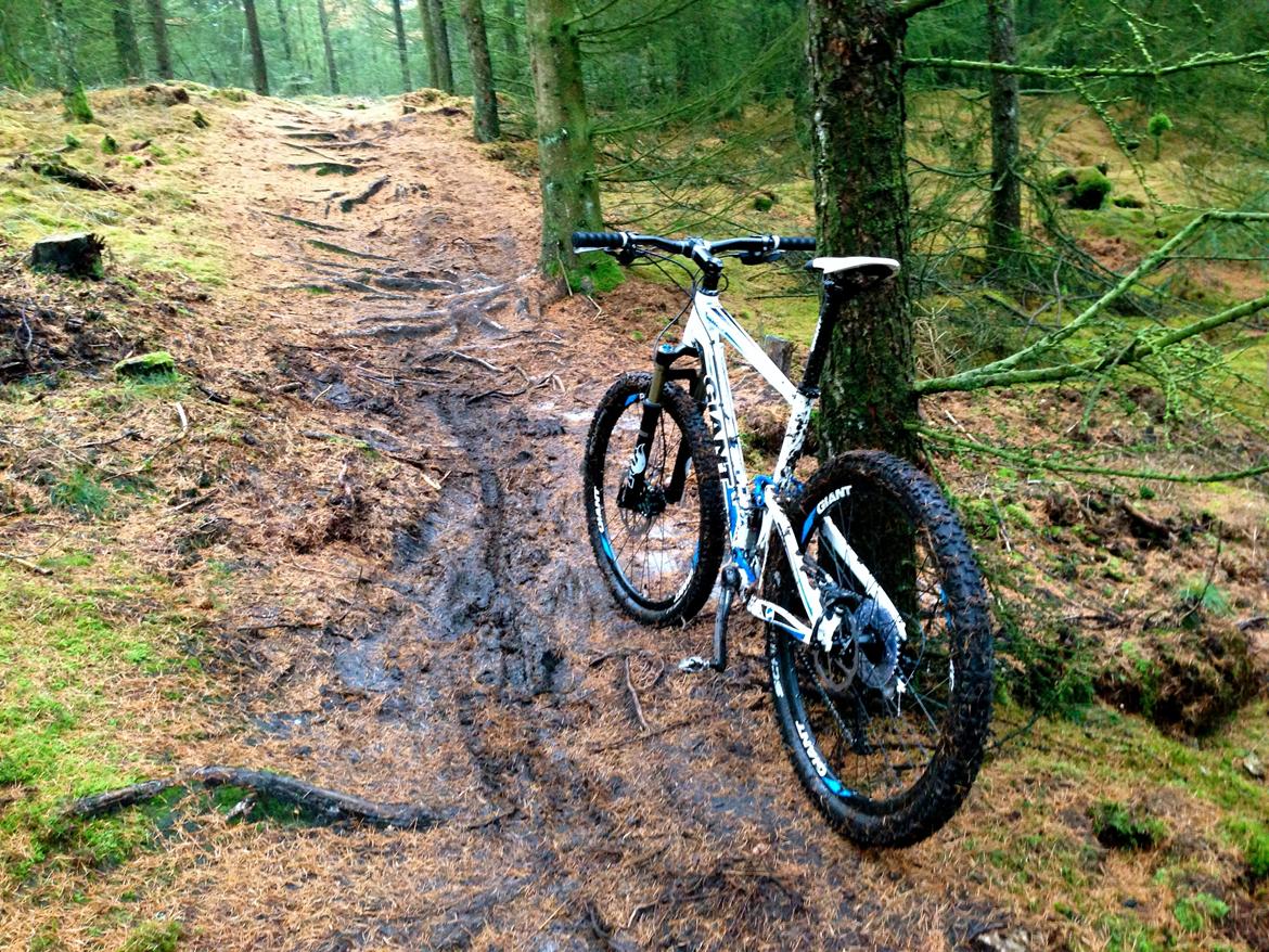 Giant Anthem x2 2012 billede 4