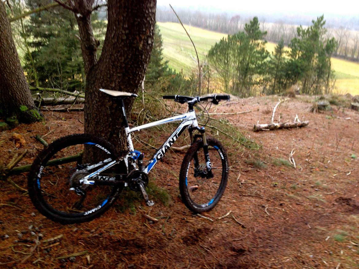 Giant Anthem x2 2012 billede 6