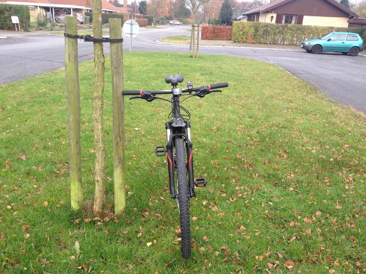 Specialized Hardrock Sport Disc 2013 STJÅLET billede 3