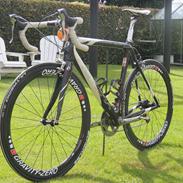 Principia Revolution C40T