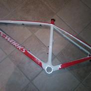 Specialized stumpjumper
