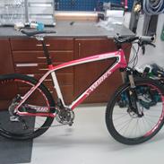 Specialized stumpjumper