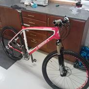 Specialized stumpjumper