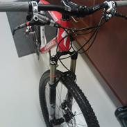 Specialized stumpjumper
