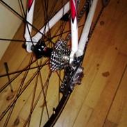 Trek SL1000