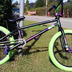 Stolen Vision Costom