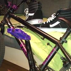 Stolen Vision Costom