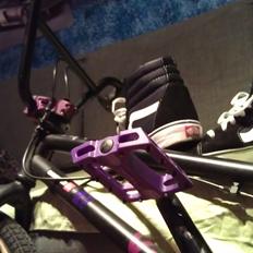 Stolen Vision Costom