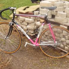 Eddy Merckx MX Leader