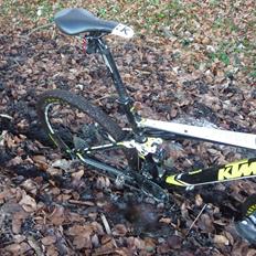 KTM Phinix Master