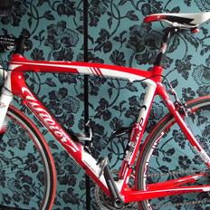 Wilier Izoard XP