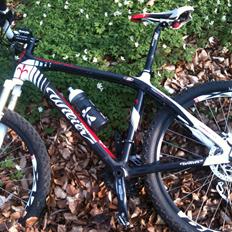 Wilier Solitario Triestina