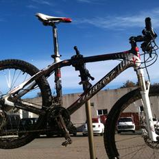 Wilier Solitario Triestina