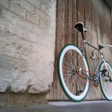 Battaglin $ Fixie Dollar