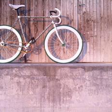 Battaglin $ Fixie Dollar