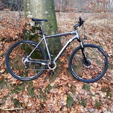 Fuji Traverse 1.0 Custom Made Afline 11