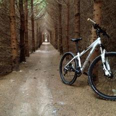 Specialized Rockhopper