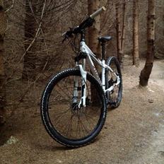 Specialized Rockhopper