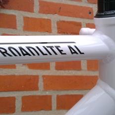 Canyon Roadlite 6.0 AL