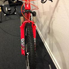 Specialized S-Works Epic 29" Kulhavy Custom Edition