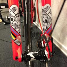 Specialized S-Works Epic 29" Kulhavy Custom Edition