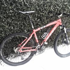 Felt Q850