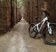 Specialized Rockhopper