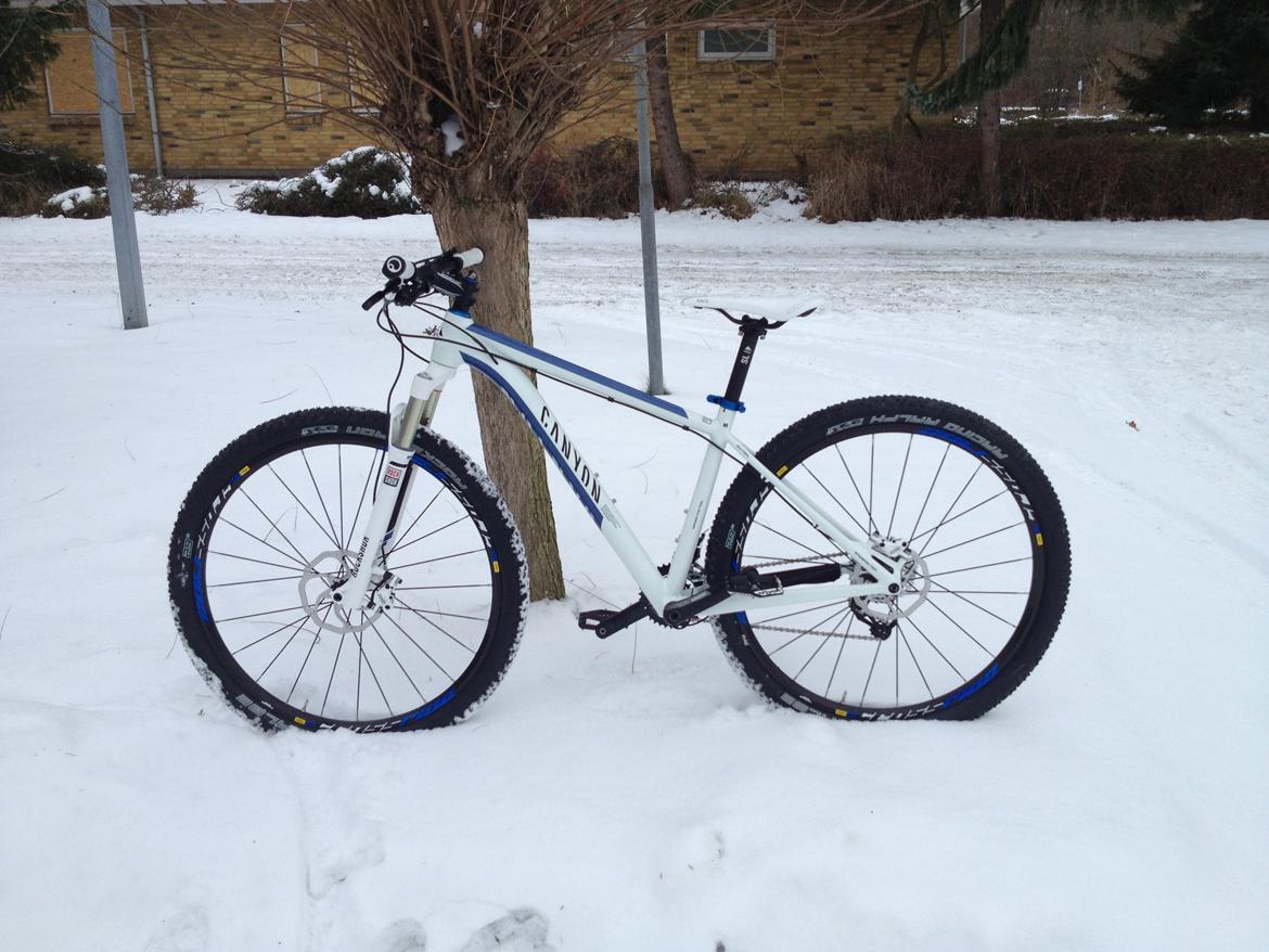 Canyon Grand Canyon AL 8.9 - 29" billede 1