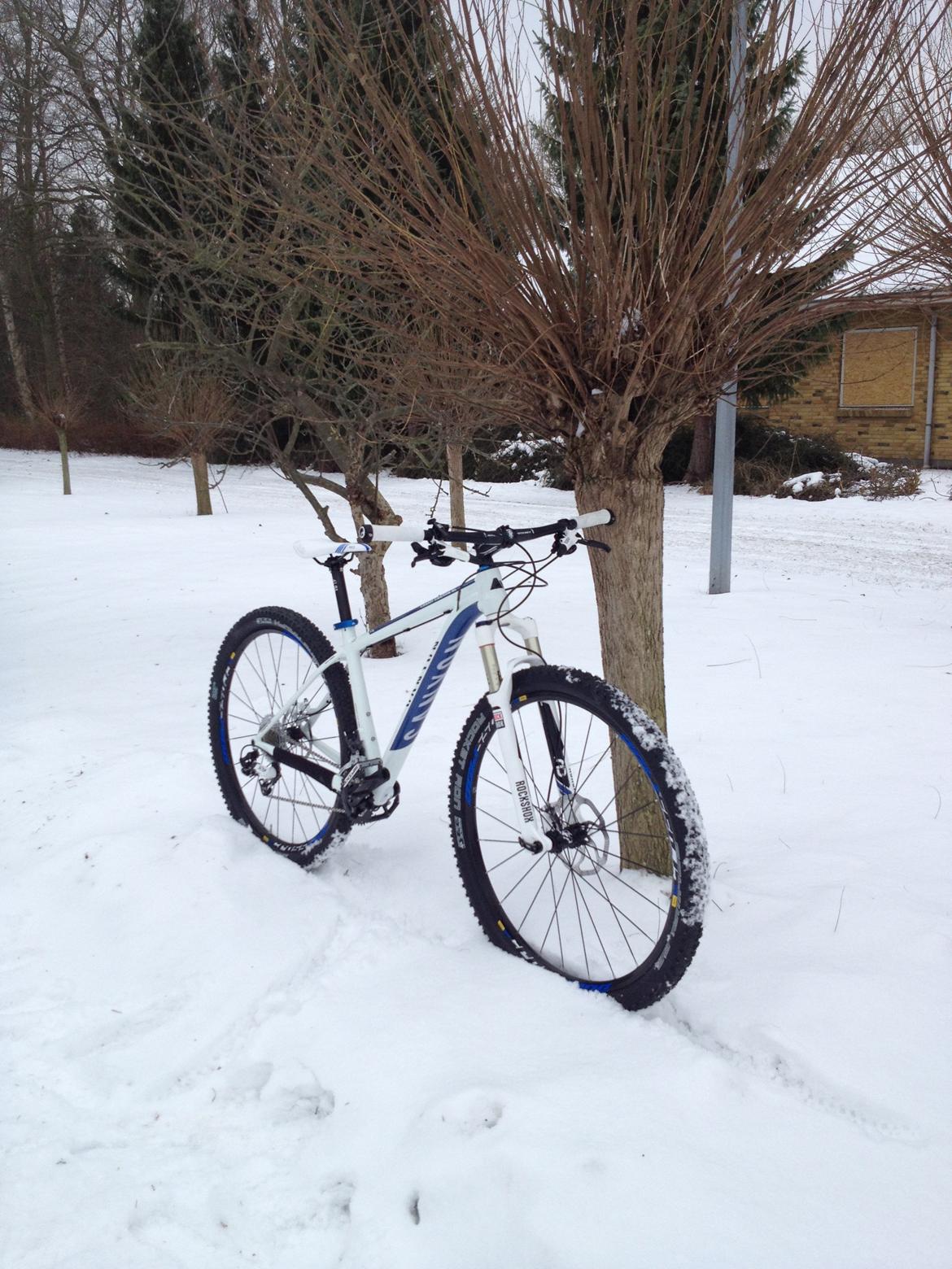 Canyon Grand Canyon AL 8.9 - 29" billede 7