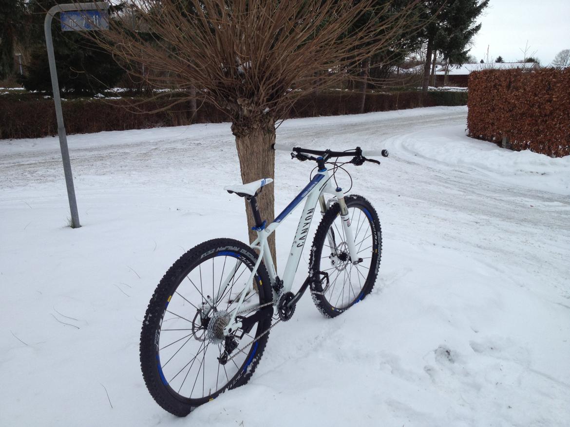 Canyon Grand Canyon AL 8.9 - 29" billede 9