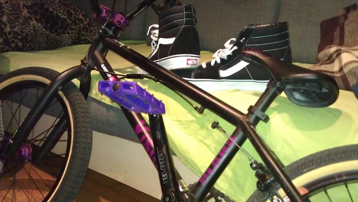 Stolen Vision Costom billede 2