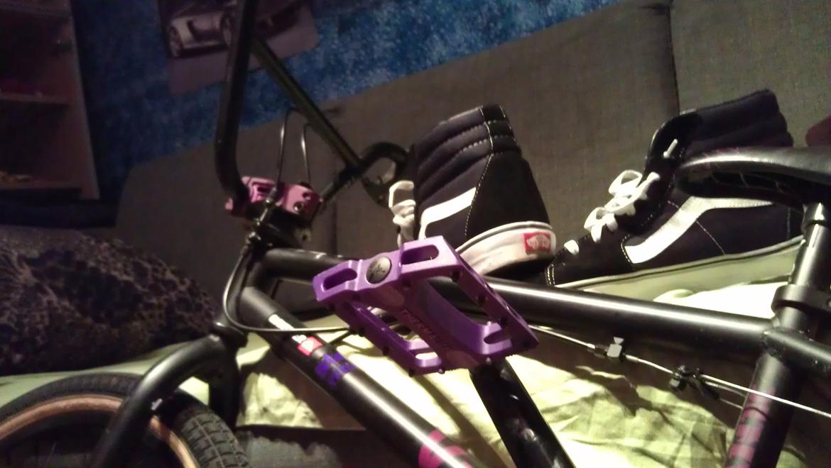 Stolen Vision Costom billede 3