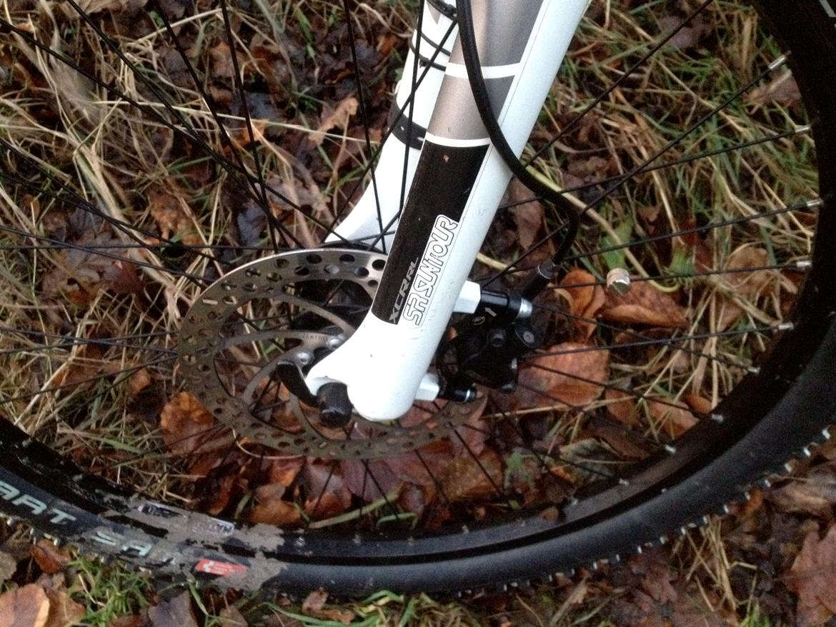 Specialized Rockhopper billede 13