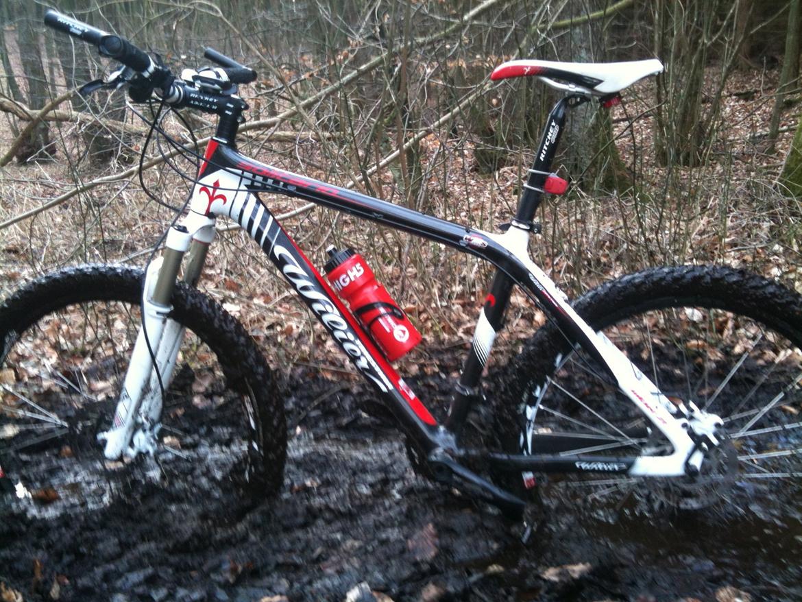 Wilier Solitario Triestina billede 8