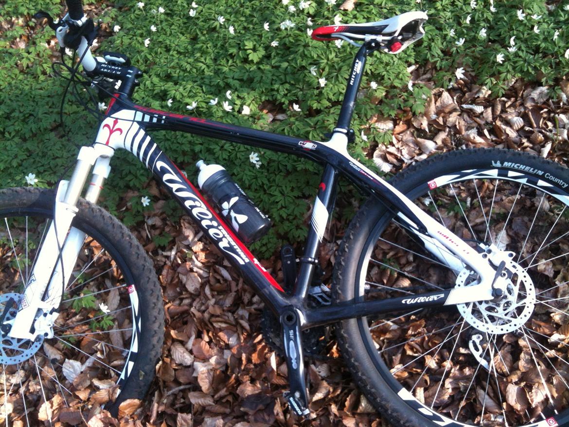 wilier solitario mtb