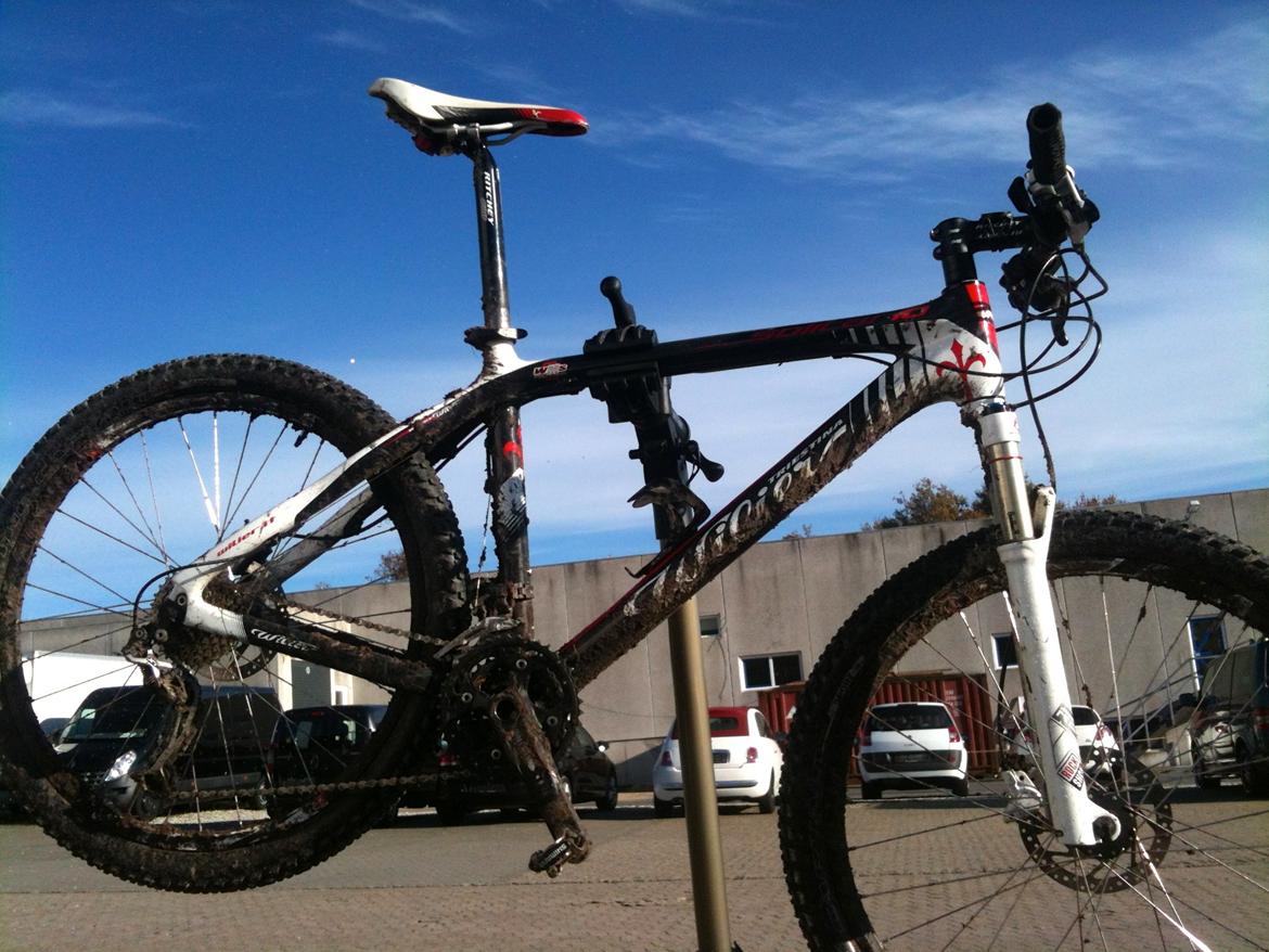 Wilier Solitario Triestina billede 1