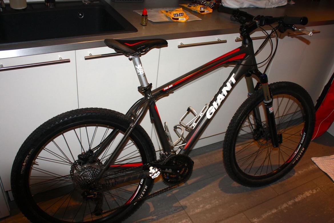 giant talon 3 2010