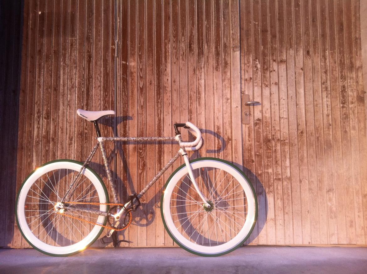 Battaglin $ Fixie Dollar billede 8