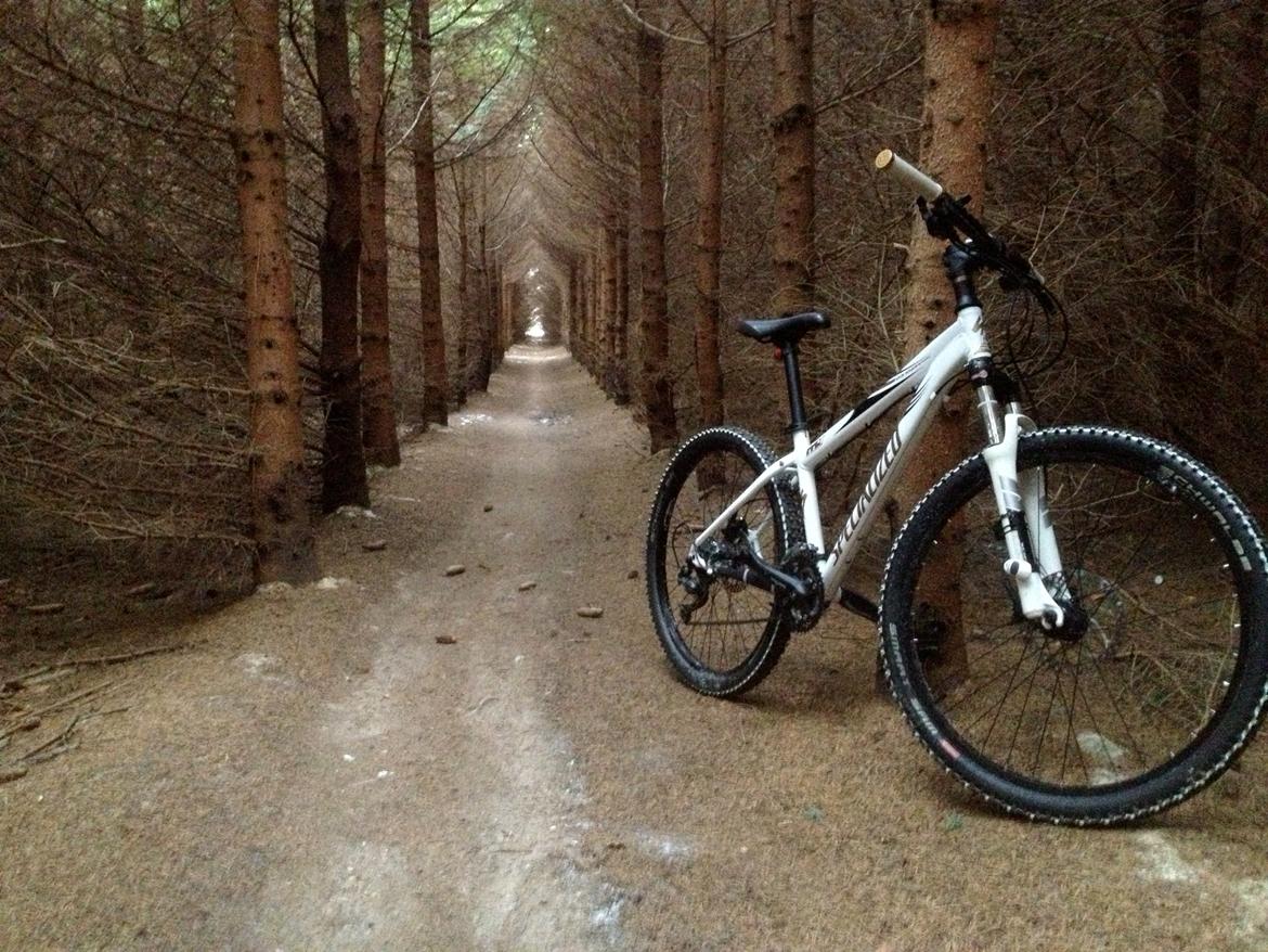 Specialized Rockhopper billede 1